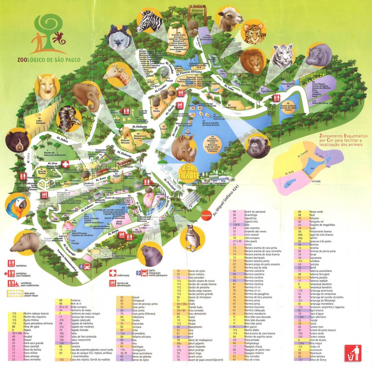 Карта зоологічний парк Сан-Паулу