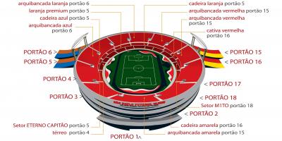 Карту стадіону Сан-Паулу Морумби